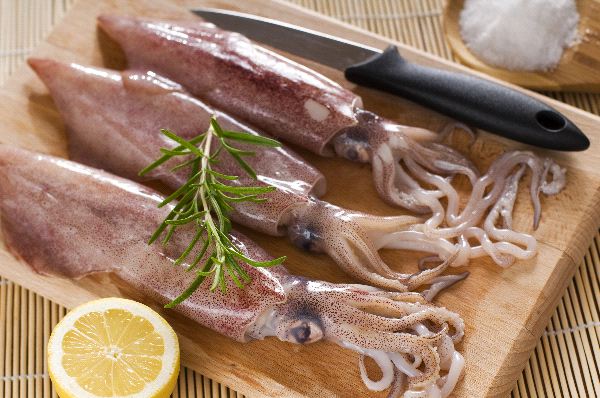 Fresh Squid for Cooking